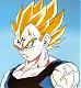 Vegeta SM