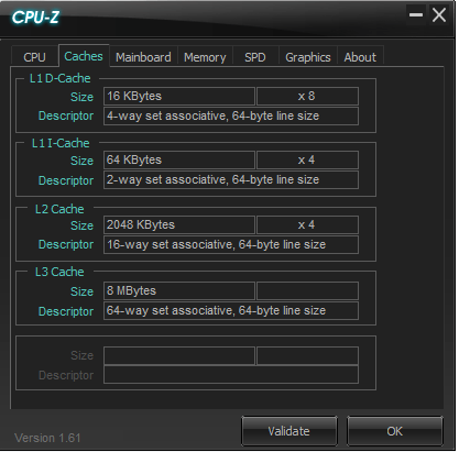 attachment_p_561801_0_caches-cpu-cpuz.png